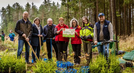 Zwei Jahre und 60.000 Bäume