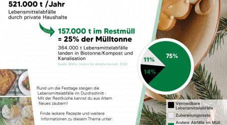 Aus Überbleibseln wieder Köstliches kochen