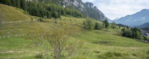 LK-Tirol 2023 mit Klima als Schwerpunkt