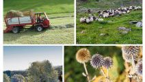 Letztausgabe Land&Raum über ÖPUL 2023