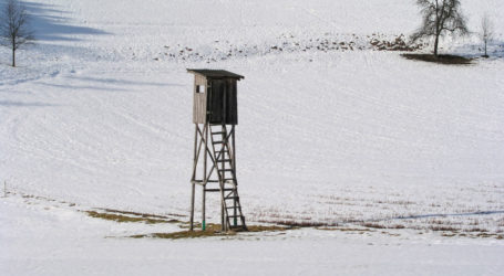 Kärnten schärft Wolfsverordnung nach
