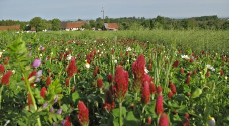 Öffentliche Anhörung zu „Bienen und Bauern retten“