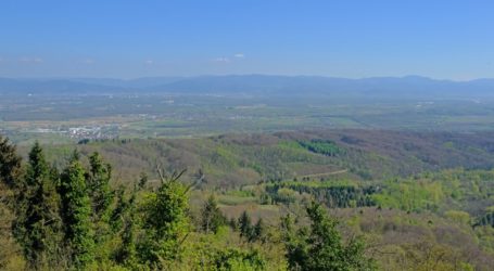 Projekt WaldlabOR – Impulse für Ökosystem Wald