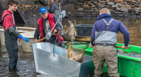 Teichrangerausbildung startet im März