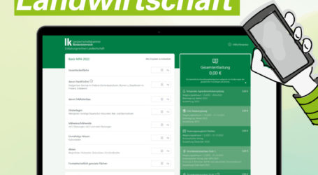 Entlastungsrechner in mobiler Onlineversion