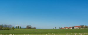 Seminare für Schaf- und Ziegenbetriebe teils online