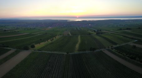 Tag der Rinderzucht in Oberwart