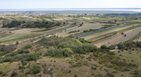 Grünere Landwirtschaft alternativlos