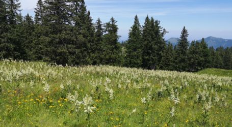 Rechtssicherheit für ÖPUL 2023 gegeben