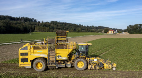Neonic-Urteil zwiespältig aufgenommen