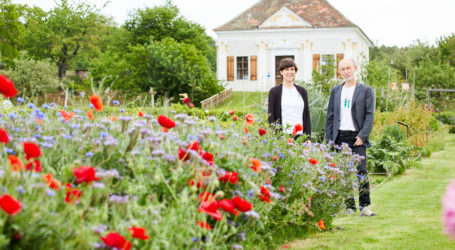 Arche-Schaugarten Gewinner bei Erlebnisgärten