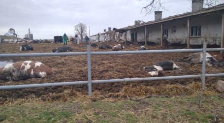 Zwischen Hoffen und Bangen