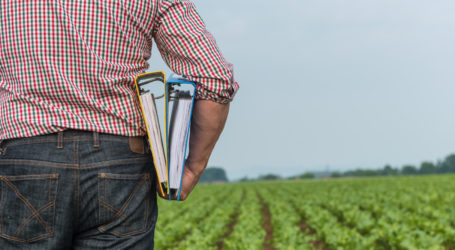 IG-Kontrollstellen geben retrospektiven Bioausblick