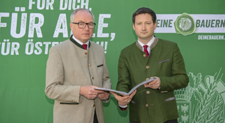 Neue Facetten im Borealis-Deal