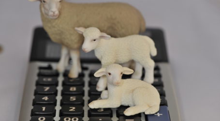 EU und NZ vor Ratifizierung des Handelsabkommens