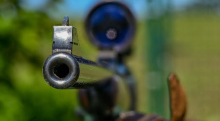 Tiroler Landtag erleichtert Wolfsabschuss