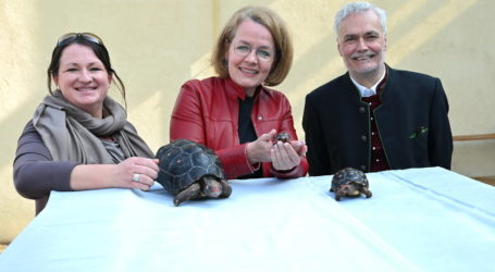 Seltener Nachzuchterfolg in LFS Hollabrunn