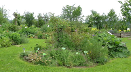 Saatgutfestival der ARCHE NOAH im Anflug