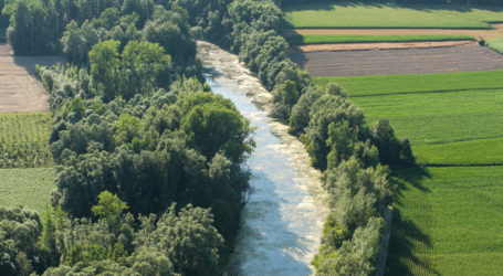 Auen bedürfen einer Bewirtschaftung