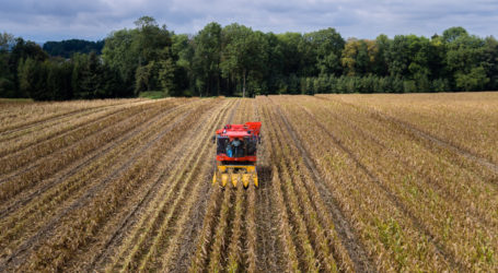 22 neue Sorten von heimischen Züchtern