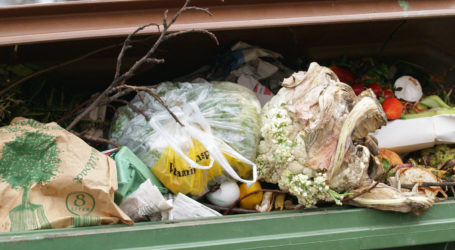 Mangelnde Dokumentation über Essensreste