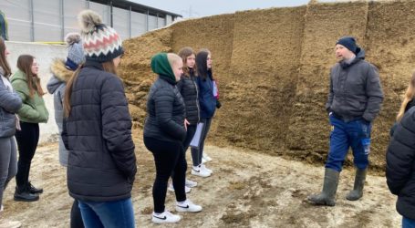 Milchviehhaltung hautnah….