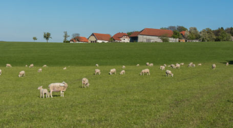 Erklärung der Kleinbauern zu Mercosur-Abkommen