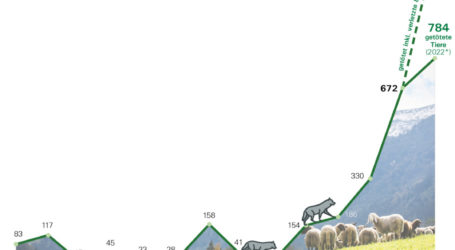 LK-Präsidenten erzürnt über Gewesslers Vorstoß