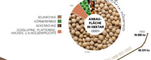 Hülsenfrüchte mit wachsender Bedeutung