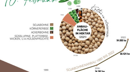 Hülsenfrüchte mit wachsender Bedeutung