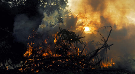 Bevor es brenzlig wird