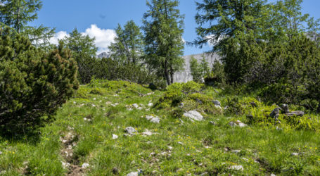 AMA unterliegt in Zivilprozess