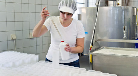 Milchwirtschaft reüssierte im Export