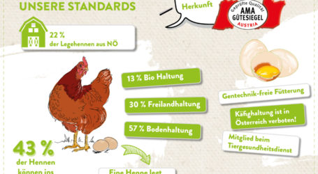 Beim Einkauf einheimische Eier wählen