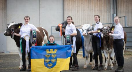 Jungzüchter der LFS Hollabrunn siegreich