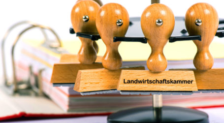 Wiener LK-Wahl am 19. März