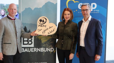 #ForestForFuture-Challenge zum Waldtag