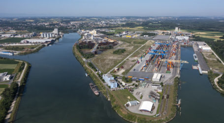 FAO-Index der Lebensmittelpreise in stetigem Rückgang