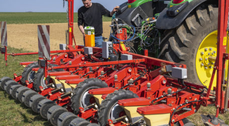 Wieners Vorschläge sarkastisch kommentiert