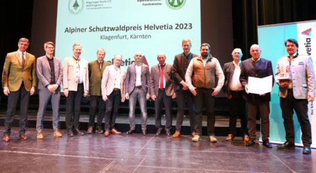 Schutzwaldsonderpreis geht nach Tirol