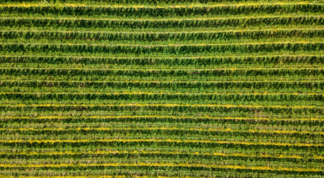 Chile und EU modernisieren Handelsabkommen