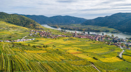 Weinjahr 2022 nicht zum Weinen