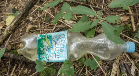 Müll gehört gekübelt