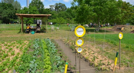 Landpartie zum Thema Pizza GLOKALe