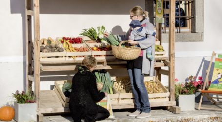 Bio Austria unterstützt Gewesslers Gentech-Vorstoß