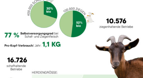 Lamm- und Kitzfleisch manchmal von weit her