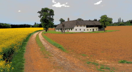 15 Jahre agrarische Umstrukturierung in EU