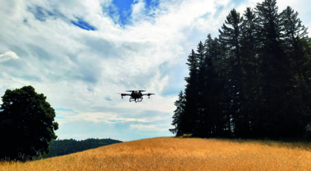 Webinar-Reigen im ÖKL-Angebot