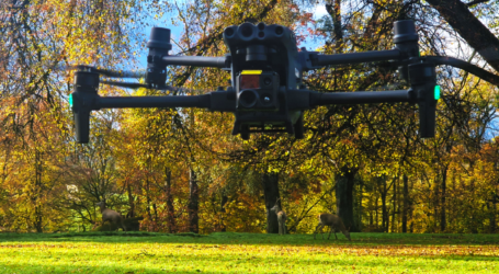 Wildtieren im Wald mit Drohnen folgen