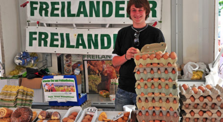 Freilandhühner von PV-Paneelen beschattet